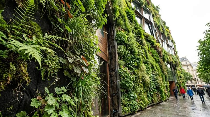 Verticale plantmuur van Patrick Blanc